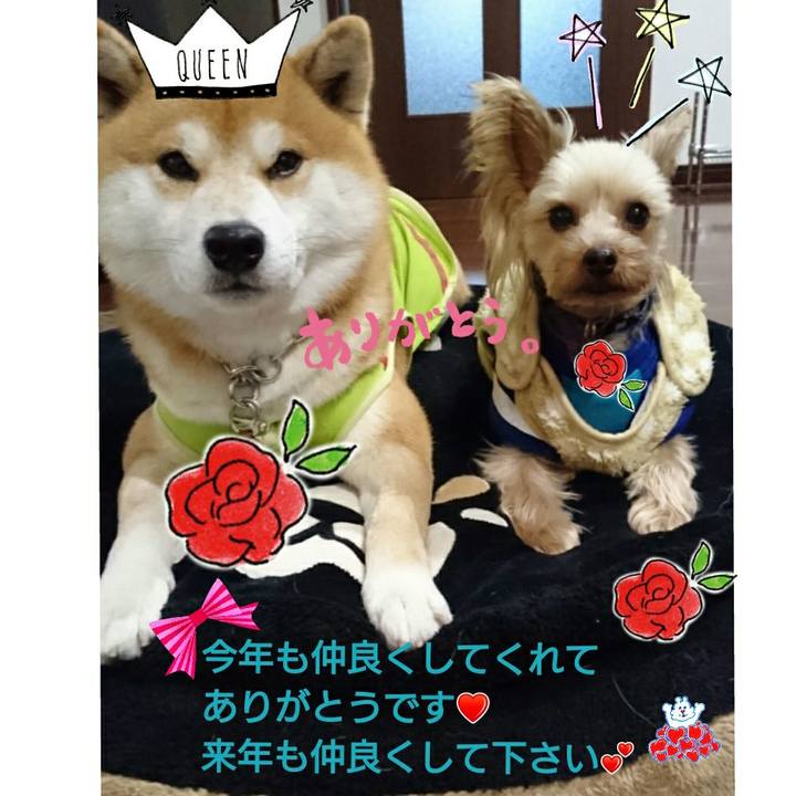 466a5744 0fb9 4575 8221 94a58a6d5b15 1514696939724