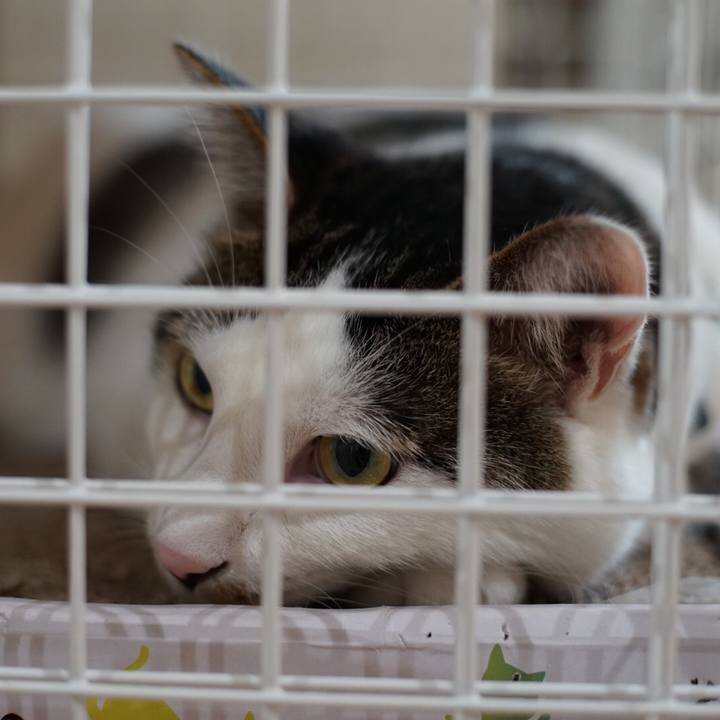 466a7376 26cc 440e 95d1 3246f2db0f16 1533080110890