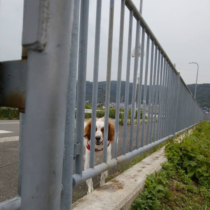 466a7d5e b801 4711 a097 95277d5e5311 1528199362593