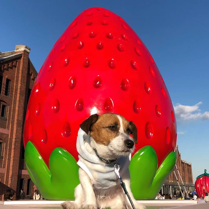 466a9ff2 7179 4f13 8219 2b1595917ae4 1518003930001