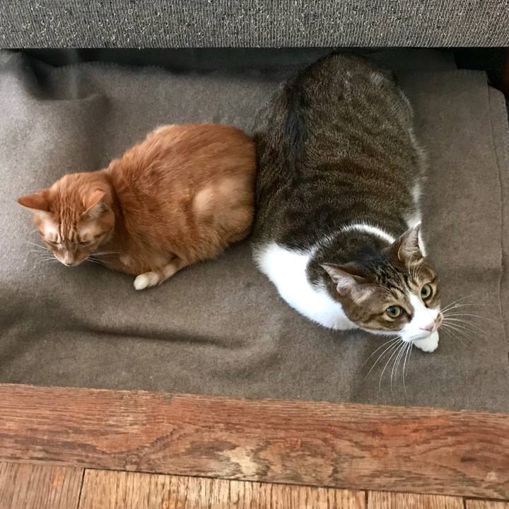 466aa52c c5da 4131 888d a069f8ea67bb 1549522919912