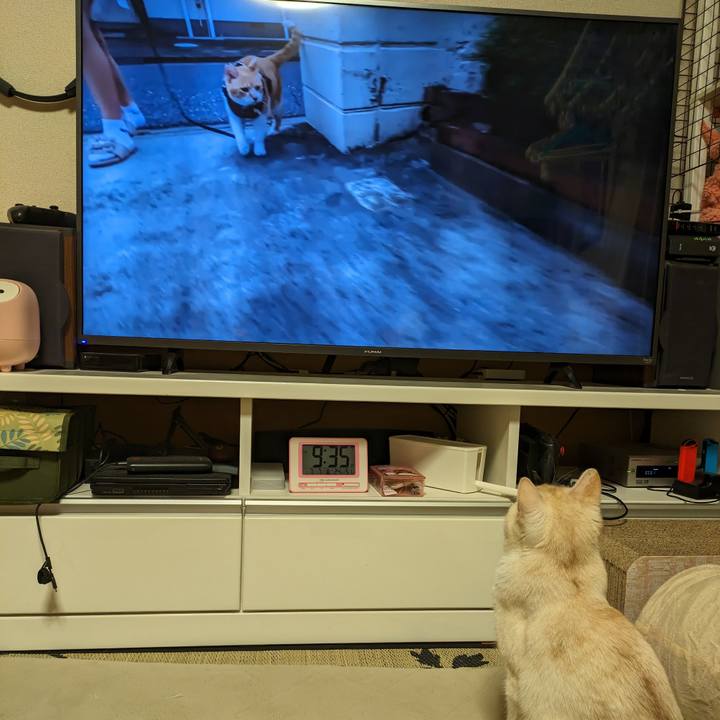 466ab843 a29f 4da5 900d b4fbfdbb9ae5 1688733828440