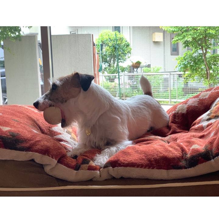 466ae6b7 9c5a 4efe bf9a 5c3b680c32cd 1588737197407