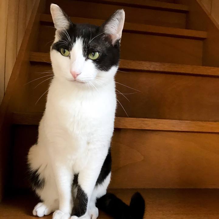 466b0bfb 5916 4f30 9101 642a8b9ae39c 1527086052551