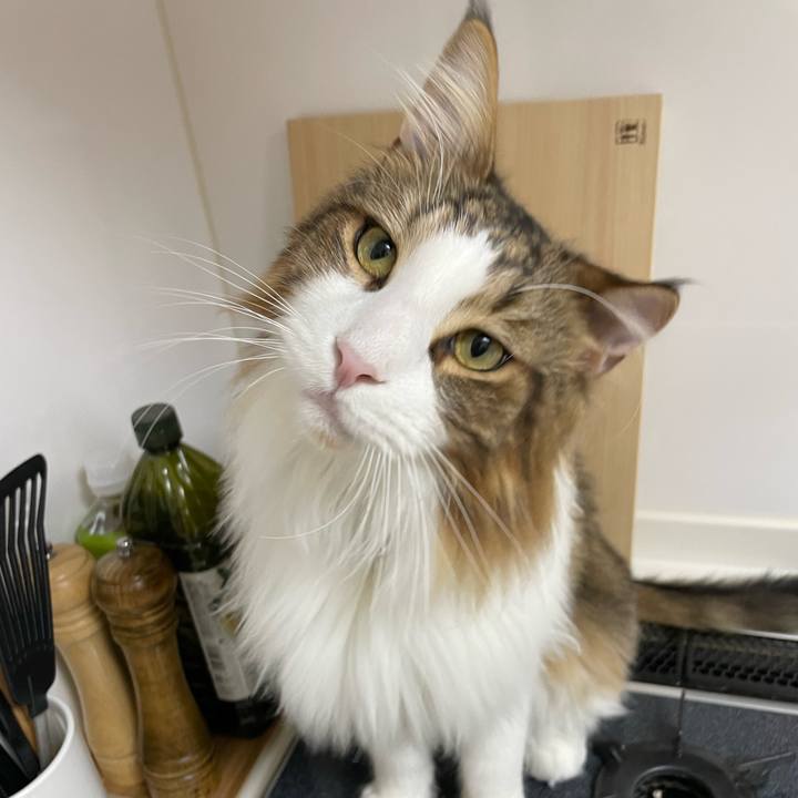 466b0d1b ea1d 4454 b99f e7df4394c80e 1667337796100