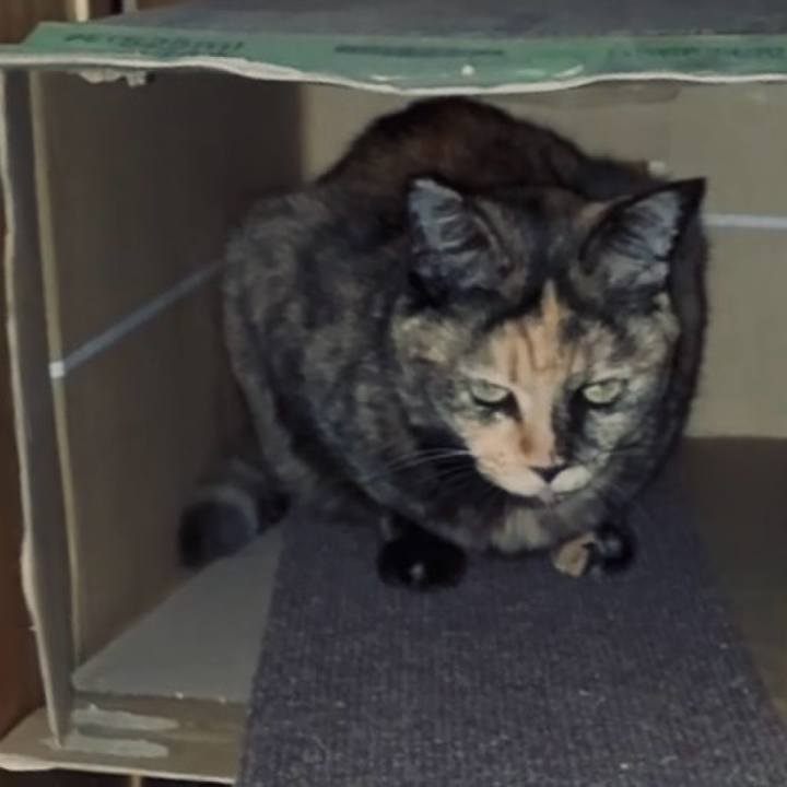 466b2175 1d2d 4b1b aa7e 45c8a1e1fdc9 1760991372433