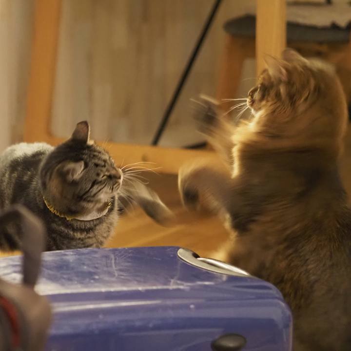 466b4451 b4d6 4a2f b630 0a0e92ae61fe 1707883048651