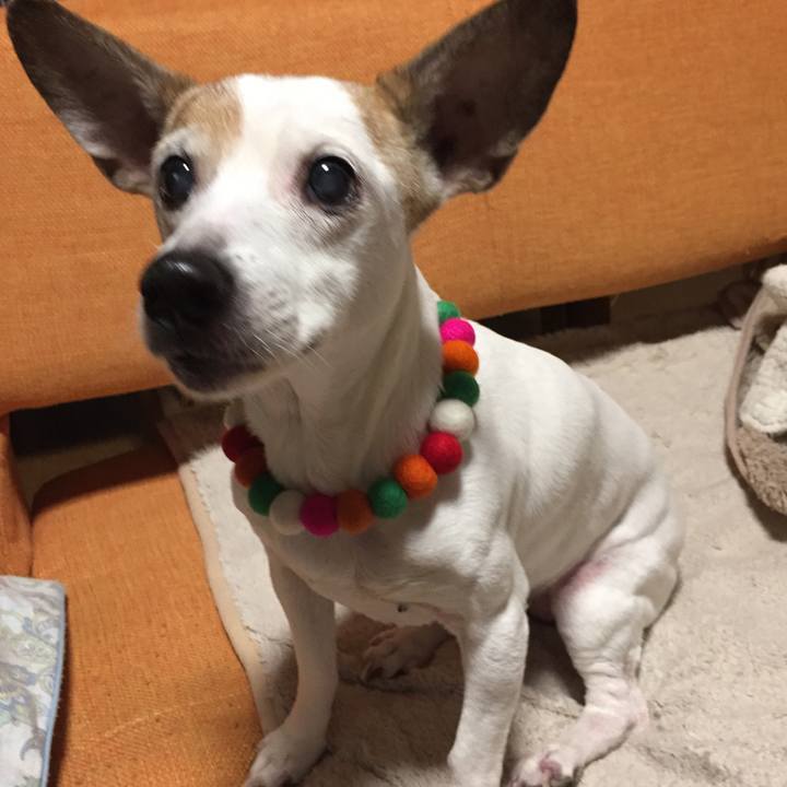 466bbf6b 51b7 42a2 9d18 ea8618410423 1548590400663