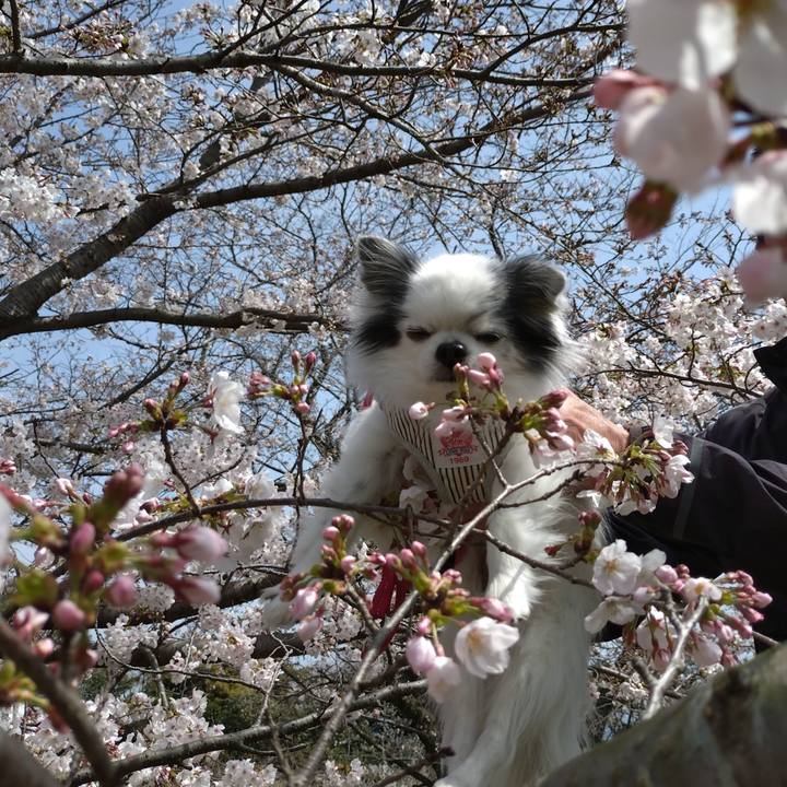 466bd565 9f41 4458 829c 33fe2b863520 1775441642140