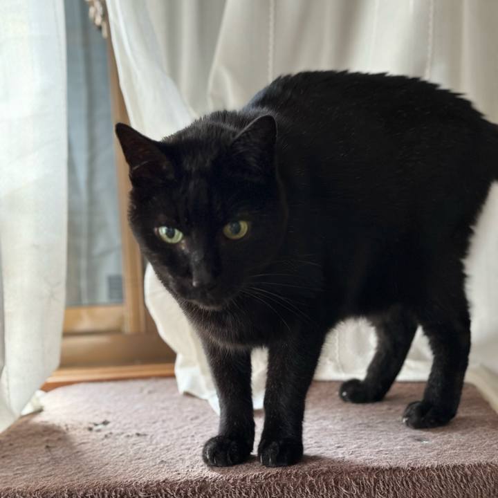 466c05a7 b877 4b42 b492 8428ba83524b 1674173126935