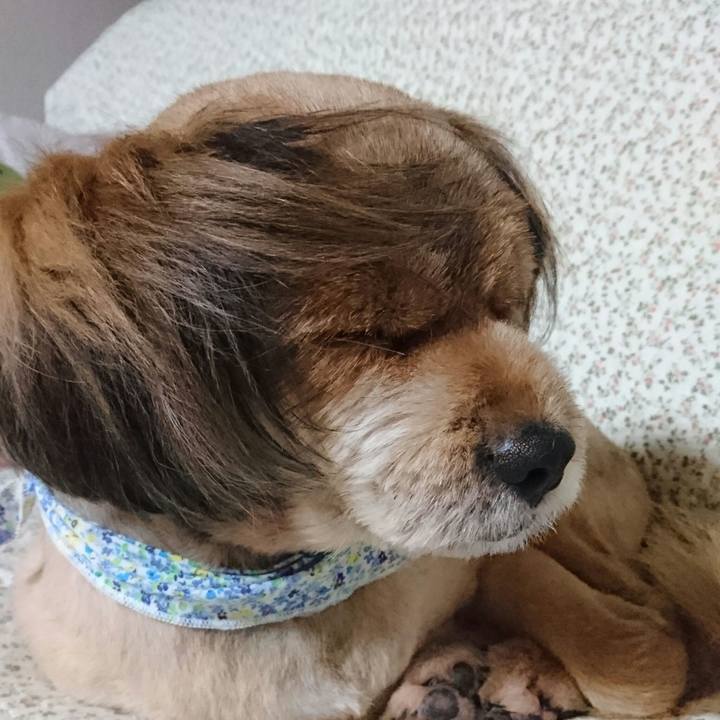 466c1c48 d04c 4d30 aba5 85c6fbec38ad 1539430399944