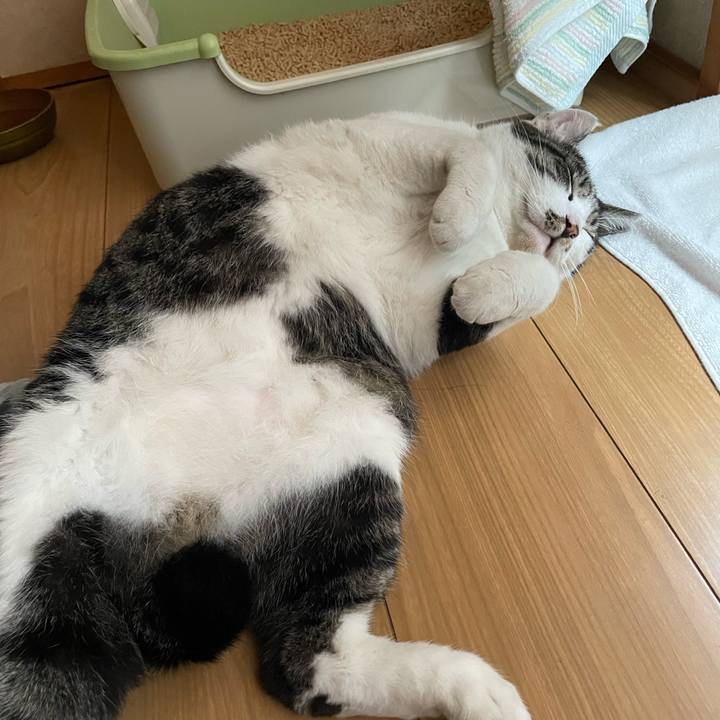 466c2e81 4e4f 48f5 a521 ceb711b53423 1663463252050