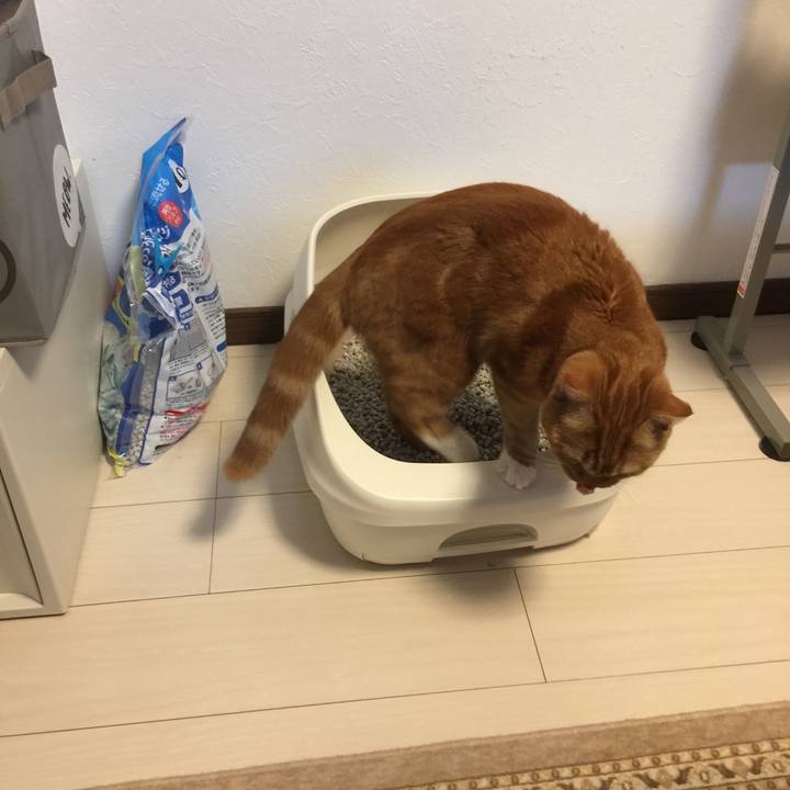 466caa1a 185e 4d4d bdda 4b4b124f9acf 1551307712276