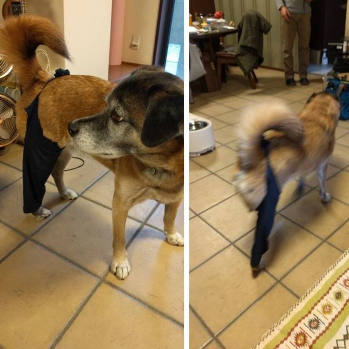 466cb7af 0d19 4c60 9dbc 972adefd6f24 1516408537676