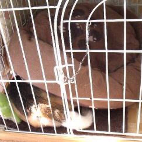 466cc04c 7b38 433a b01b 4cd4e3b26f95 1731879940886