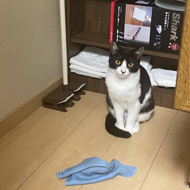 466d113d 5929 4e71 91d1 57dd36e3bc24 1683043404632