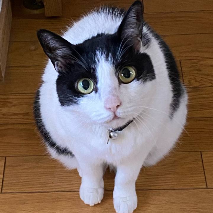 466d4228 5e8d 4c5f b9d1 c82bd6315db8 1753488884045