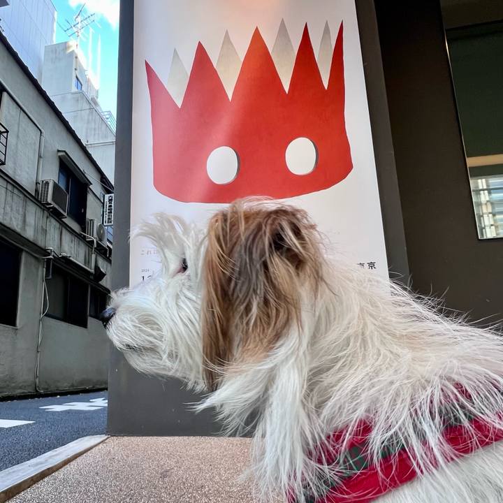 466d50d0 d140 4905 87b1 51989664af7f 1733649494239