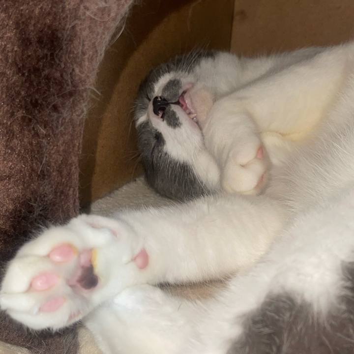 466d6f52 7484 4ce9 8a7d 96a73752133f 1756357200724