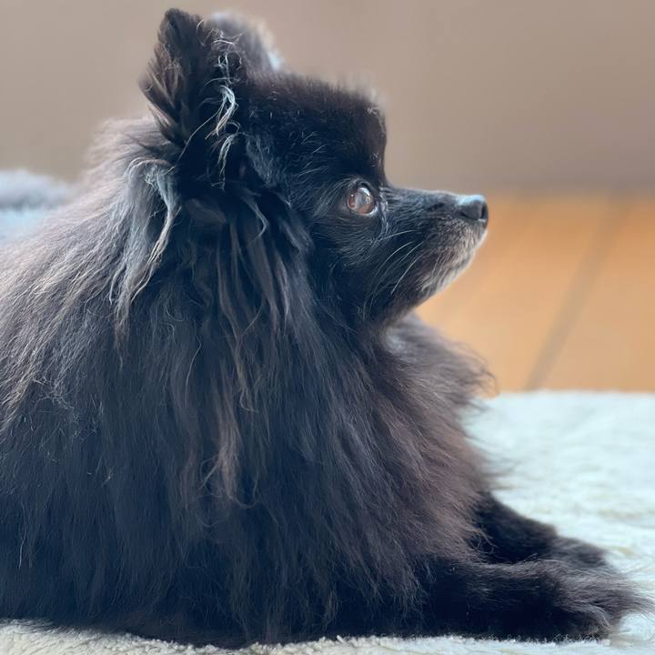 466d7d58 56c8 4988 97fc 55f7b6d4782f 1774827962607