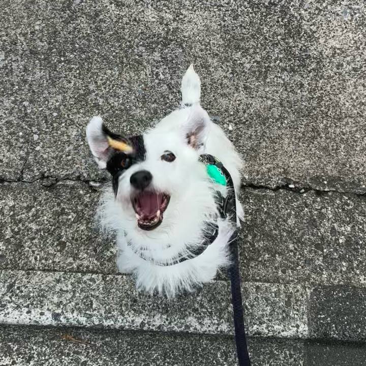 466d8902 c93a 4f55 a8a6 d4381333fb00 1758496233940