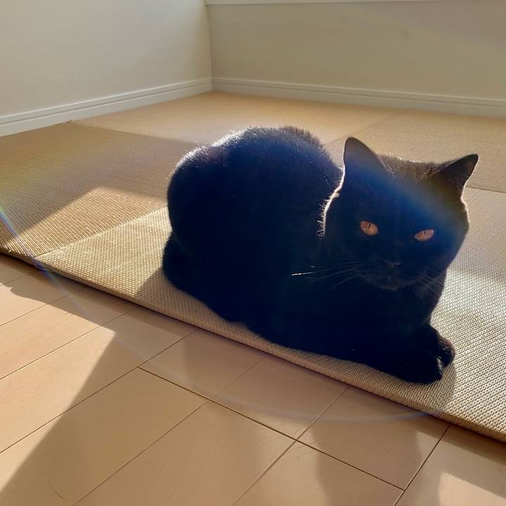 466d8ab7 1d8a 407c bd56 03edb23567c7 1608529696689