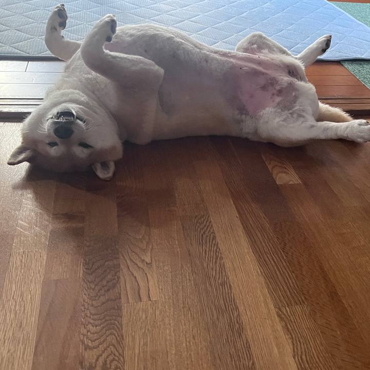 466d98ad 503f 4c59 a570 670a6ae51746 1719896839176