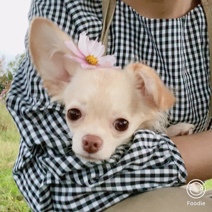 466deec3 6ccd 4d7f 8e0a 432003fe2a27 1602496343482