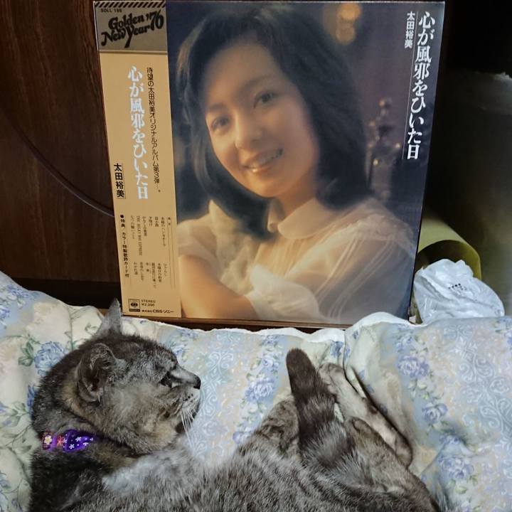 466df5c3 1e93 4dd0 a620 b3280f44c2c7 1595852093046