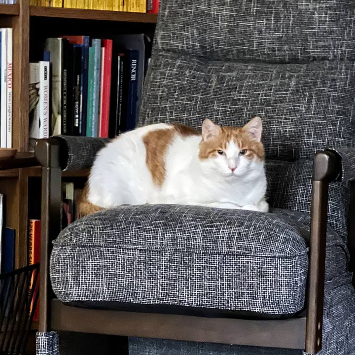 466e499c d642 48e6 8e3f a3647093f580 1766231857034