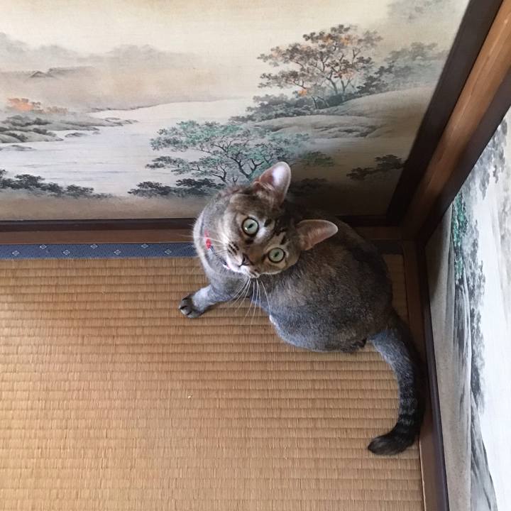 466e5d76 ef76 4bb3 9663 bfa86d661896 1605761973173