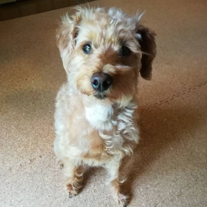 466e787b 6d5a 4319 8764 ebd167d23c7a 1559859703109