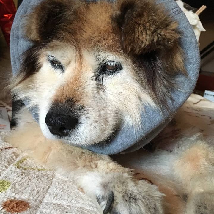 466e84f9 2fef 4be1 a0c8 a69e41637100 1611579725180