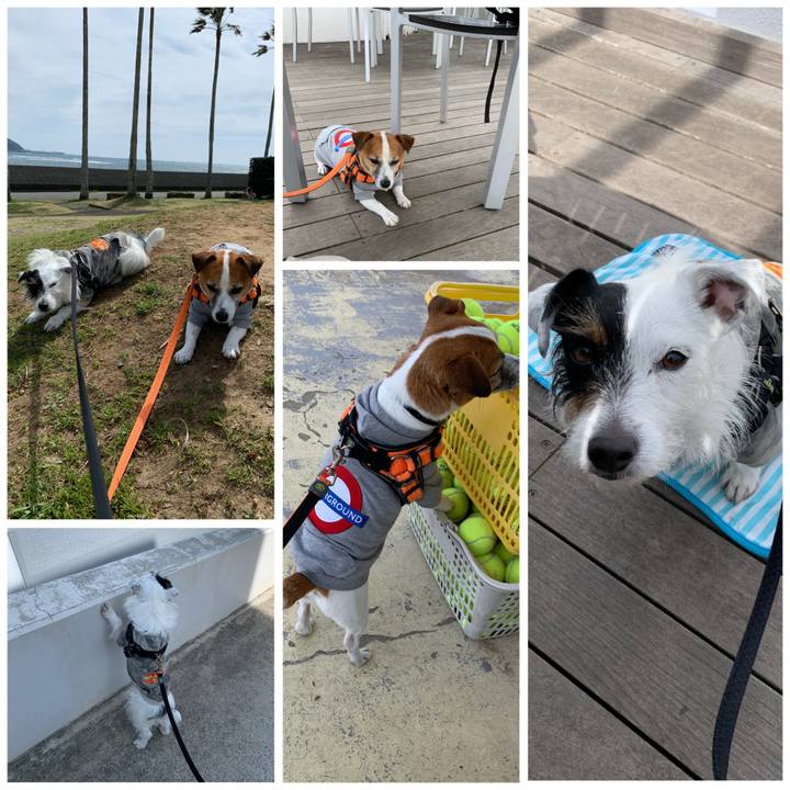 466e8cb0 d227 488f 84f0 99e2de04381e 1584076116498