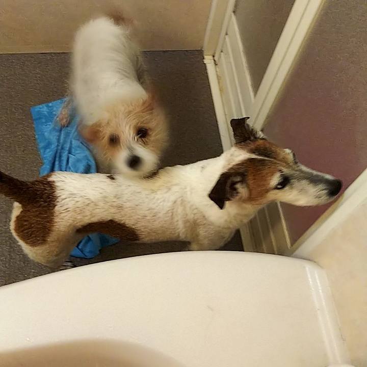 466eaf05 821c 4c7c 8983 403022317c21 1560687716085