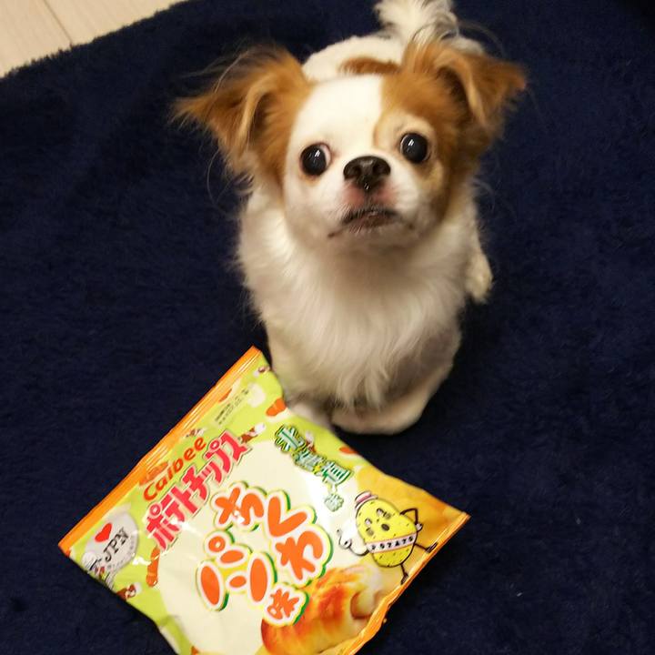 466eda6b 2a8c 4e0a 80c2 065e161aed9d 1512116969189