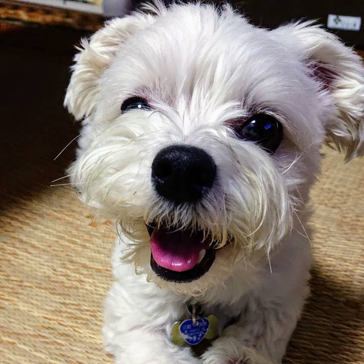 466edaf5 c632 4a02 9722 99b443f29d8c 1531661093745