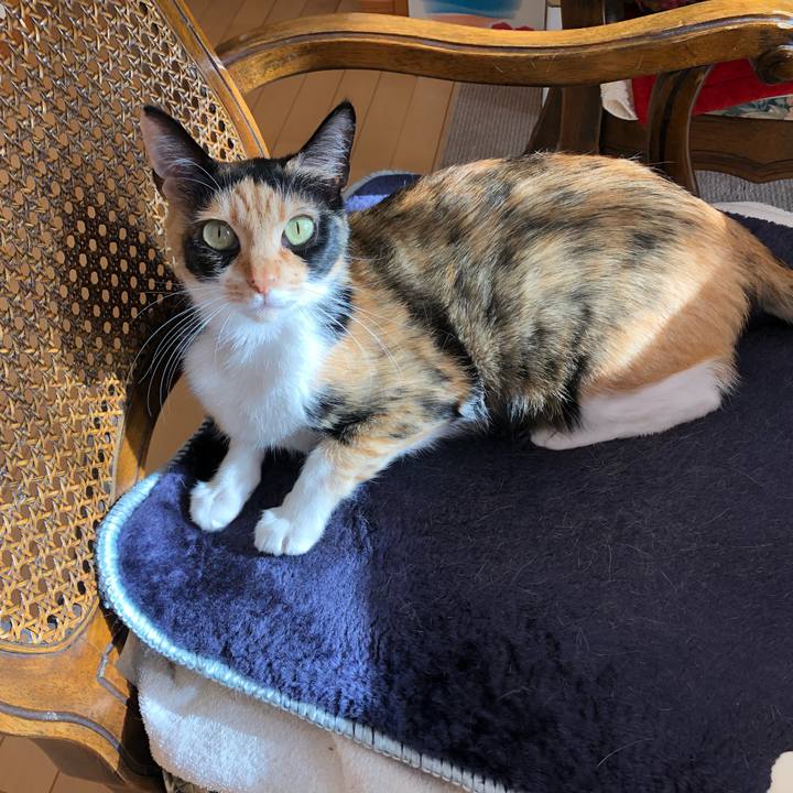 466eff2d c8c6 476c 9e4e eadecadbe2f6 1547162678203