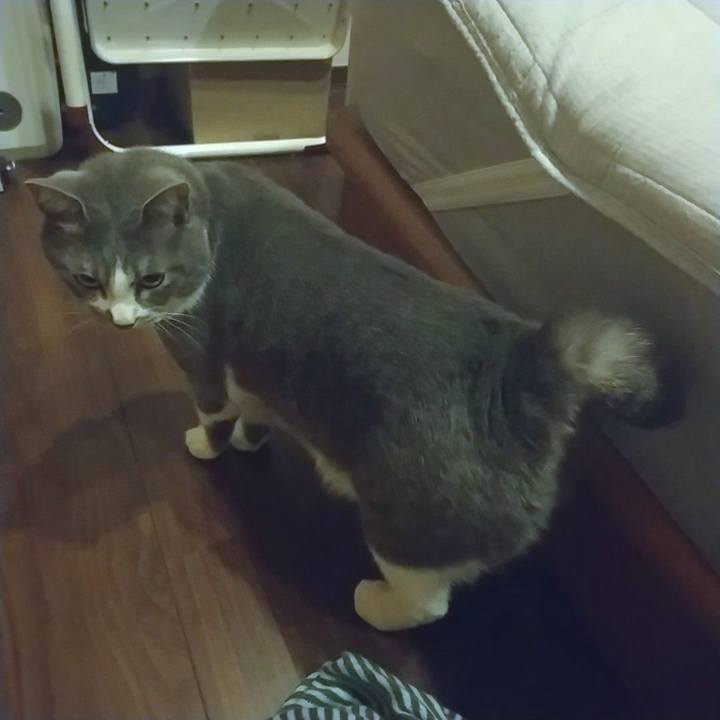 466f21e5 6e46 429d 8a6f e1a05b952dc7 1652651281277