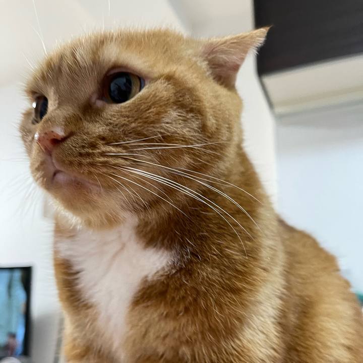 466f6954 e13c 4981 b1aa b9d8d0344edb 1653403009310