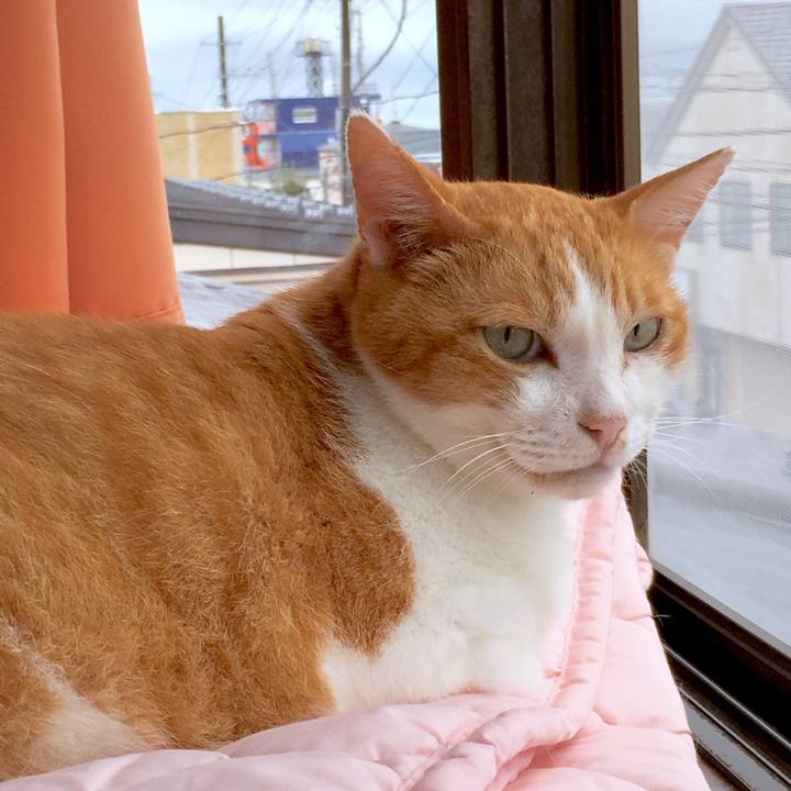 466f8820 a4b5 474a b4eb ce5ee1a64f30 1568378366056