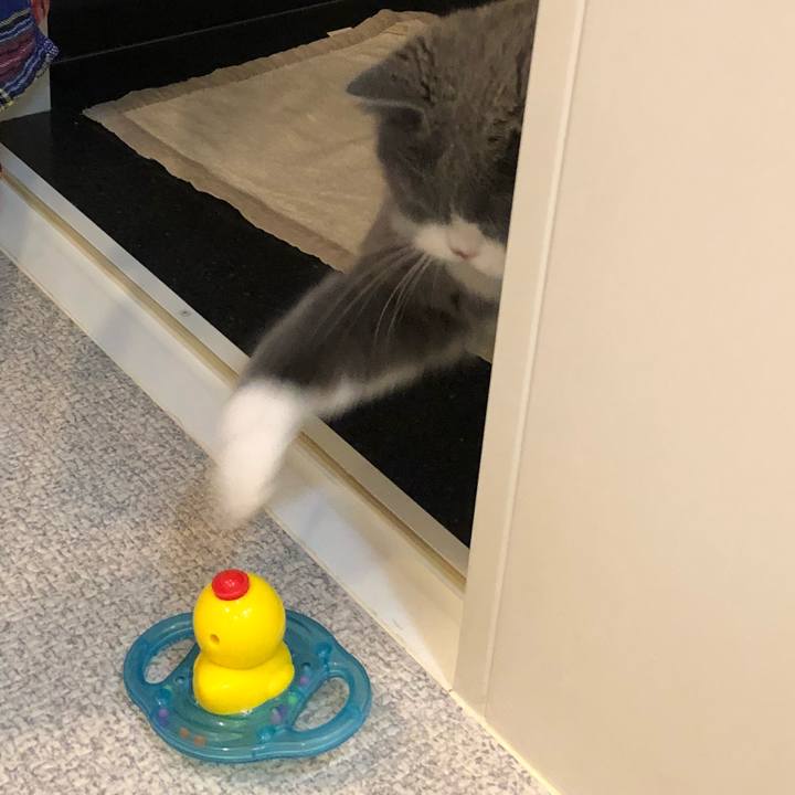 466f9318 3823 440b b7a8 767a2b4ebfb1 1512394046587