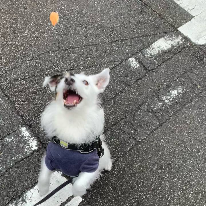 466f9639 d286 41bf 8041 b56371e2c436 1746843112419