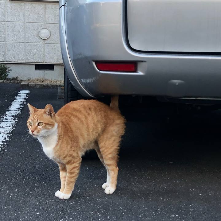 466fa720 cf2f 4558 bd60 6176ddde6fed 1580974967479