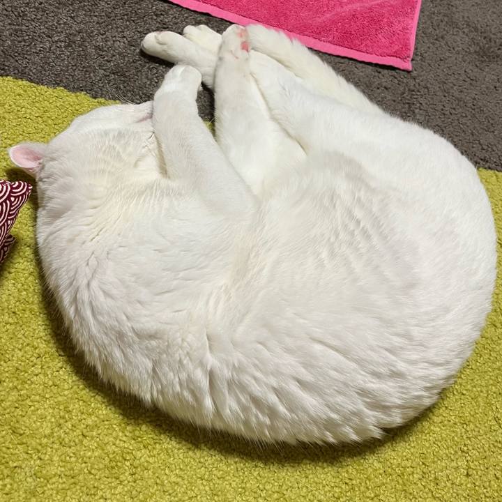 466fb75a 3132 4447 b028 9dc357274187 1730029512309