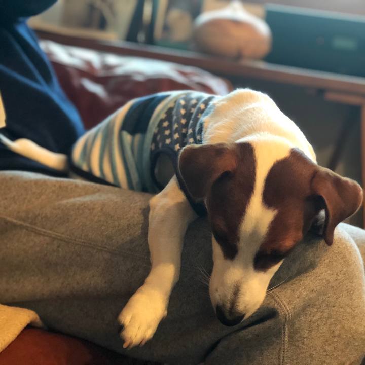 466fc43b 7d3f 48ef 9432 e39b77ef80dd 1545033124754