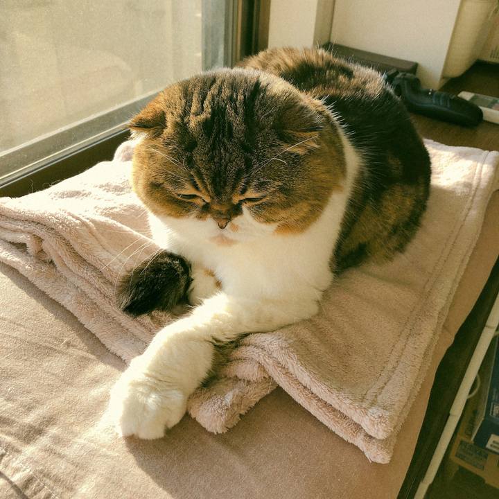 466ffb1a 74ac 4dbe 9499 ebfad7630e99 1553465577361