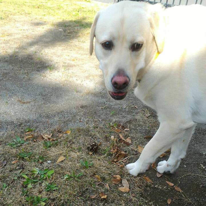 466ffb26 fa7d 4c8e bd50 14c1ce47c030 1511089254351