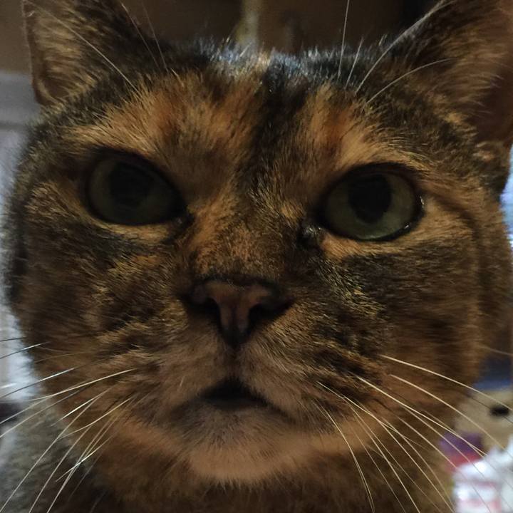 467007b5 9136 447c 9440 69c59eac8f8a 1538856502234