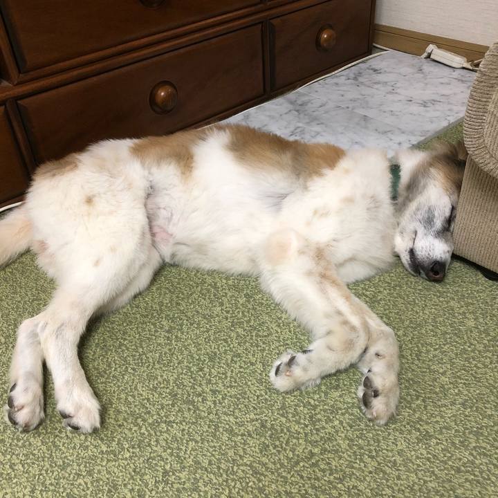 4670084c 2402 43a0 a313 ca40130c685b 1535522581525